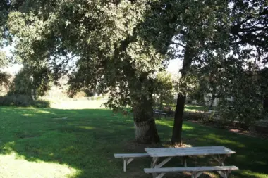 The facilities at Campobello Chemical Dependency in Santa Rosa, CA 2